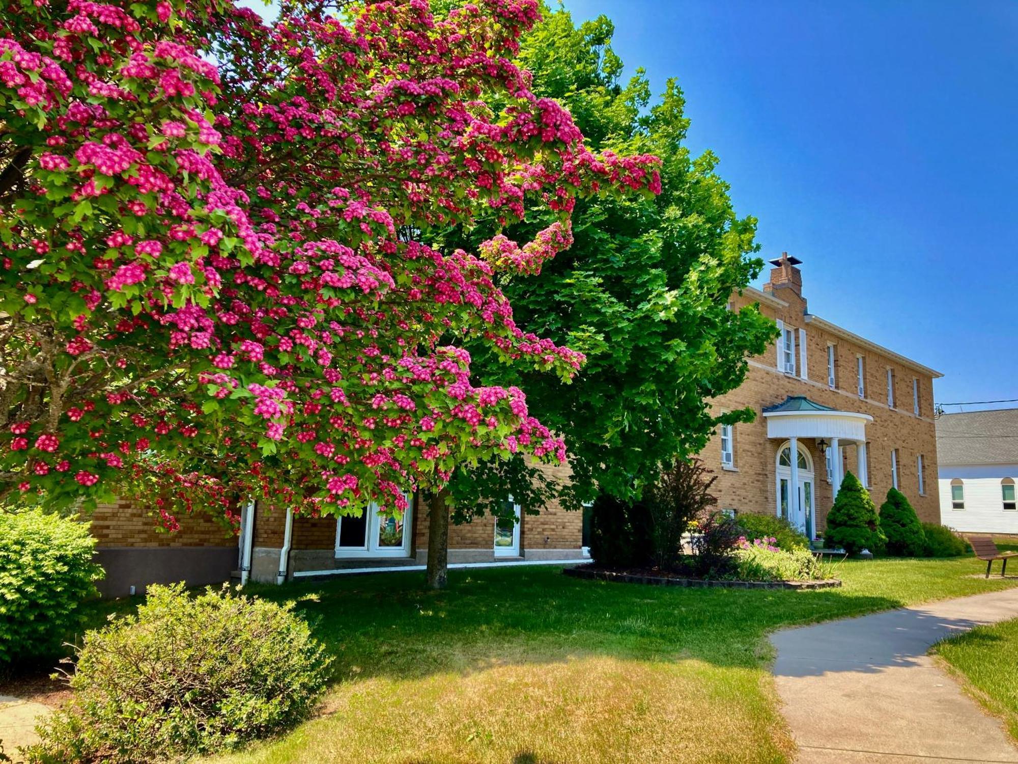 Garden Grove Retreat & Lodging Near Pictured Rocks, Fayette, Trails ภายนอก รูปภาพ